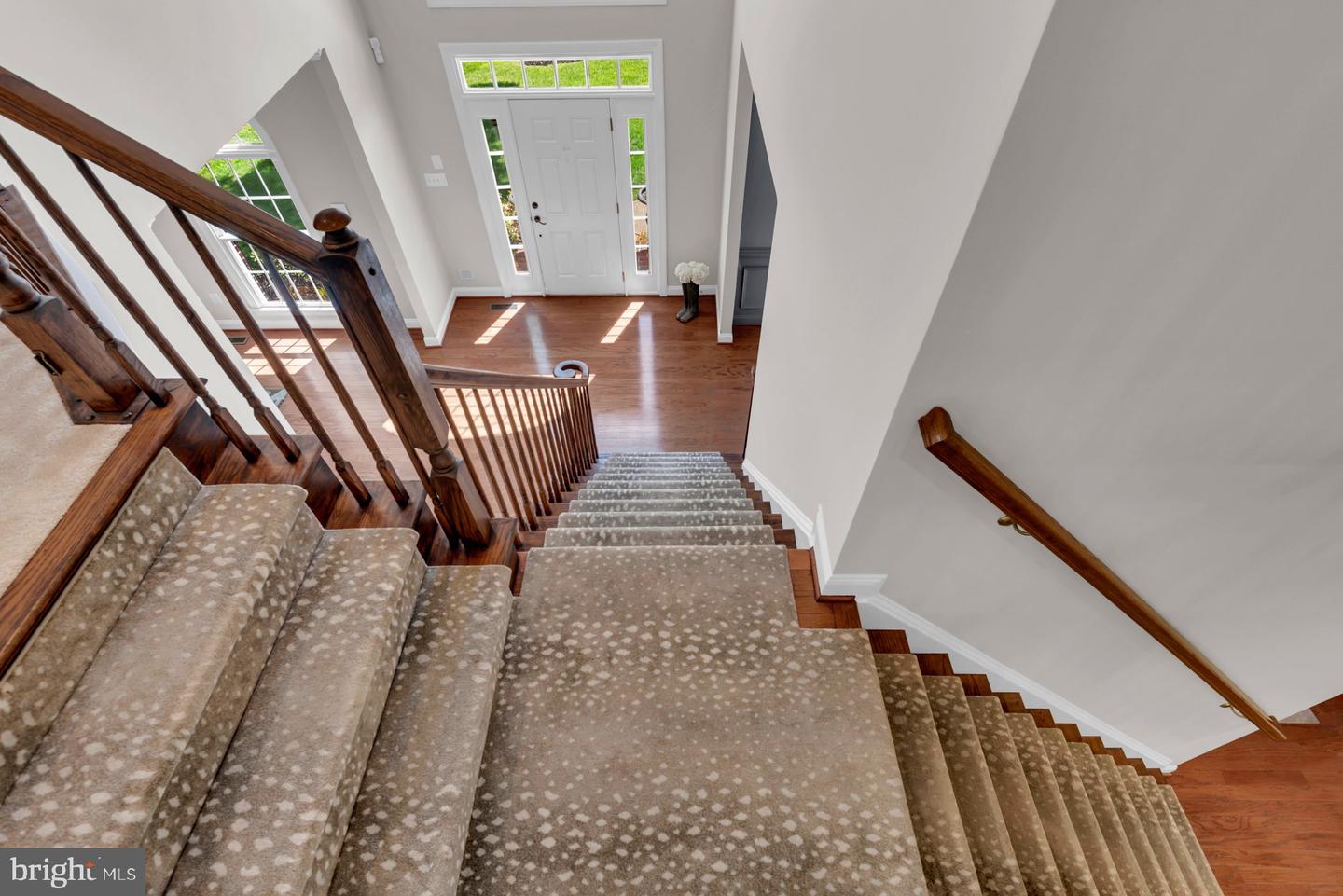 1604 Rabbit Foot Clover Ct