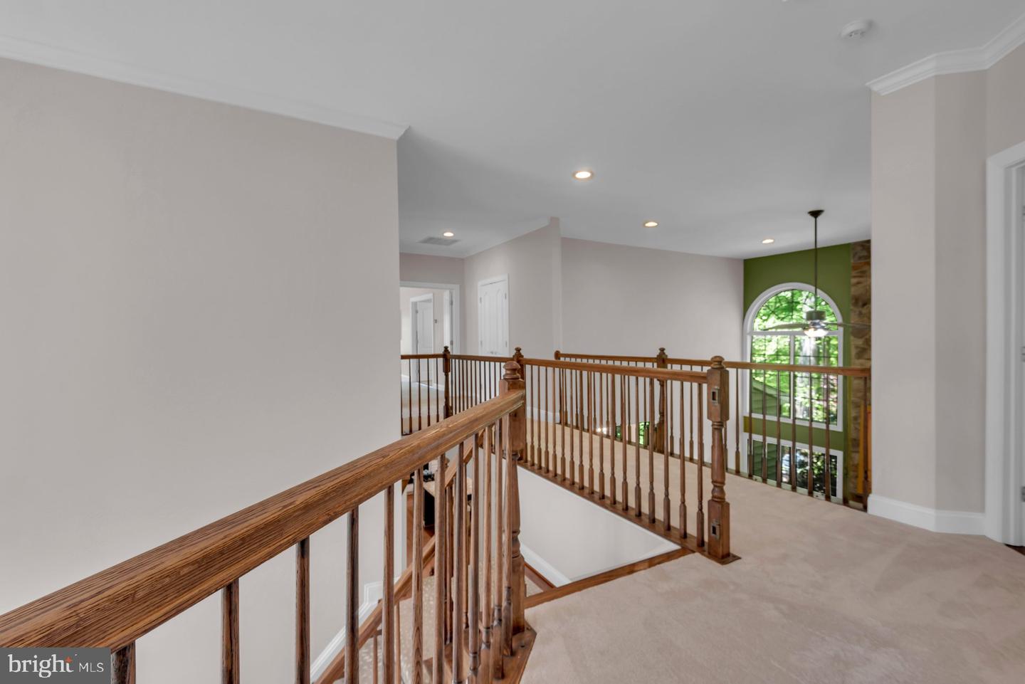 1604 Rabbit Foot Clover Ct