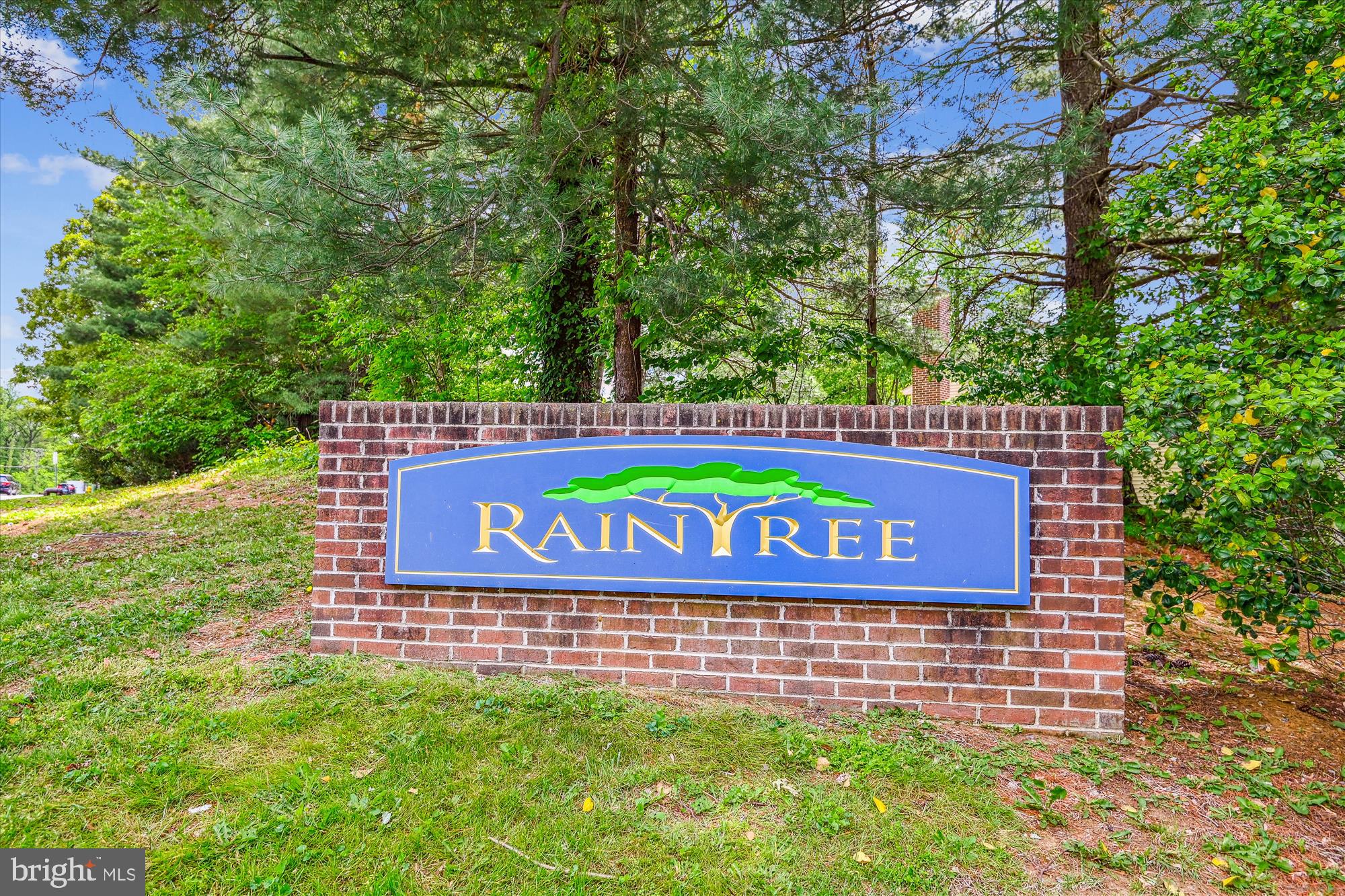 271 Waycross Way