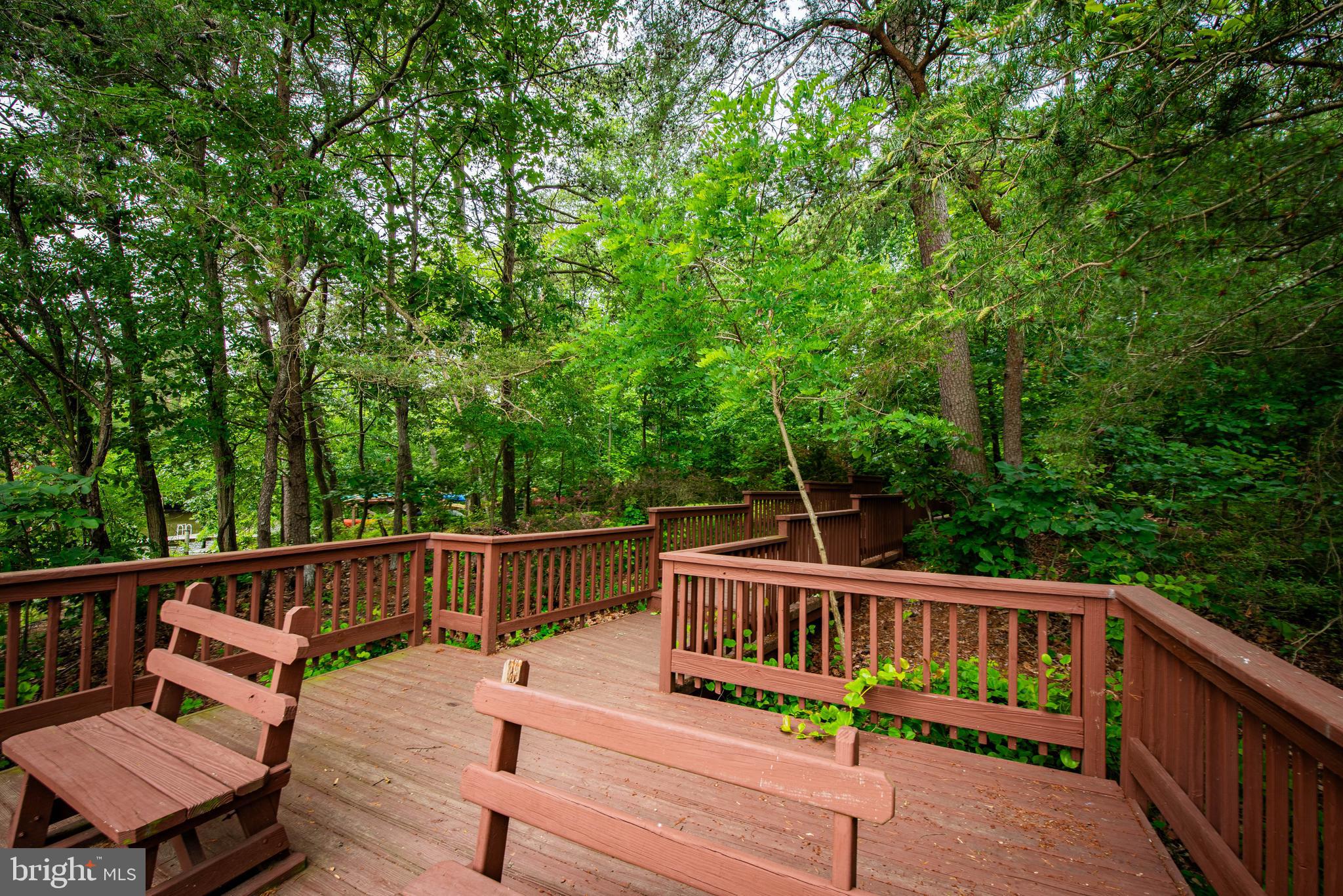 1337 BLACKWALNUT COURT