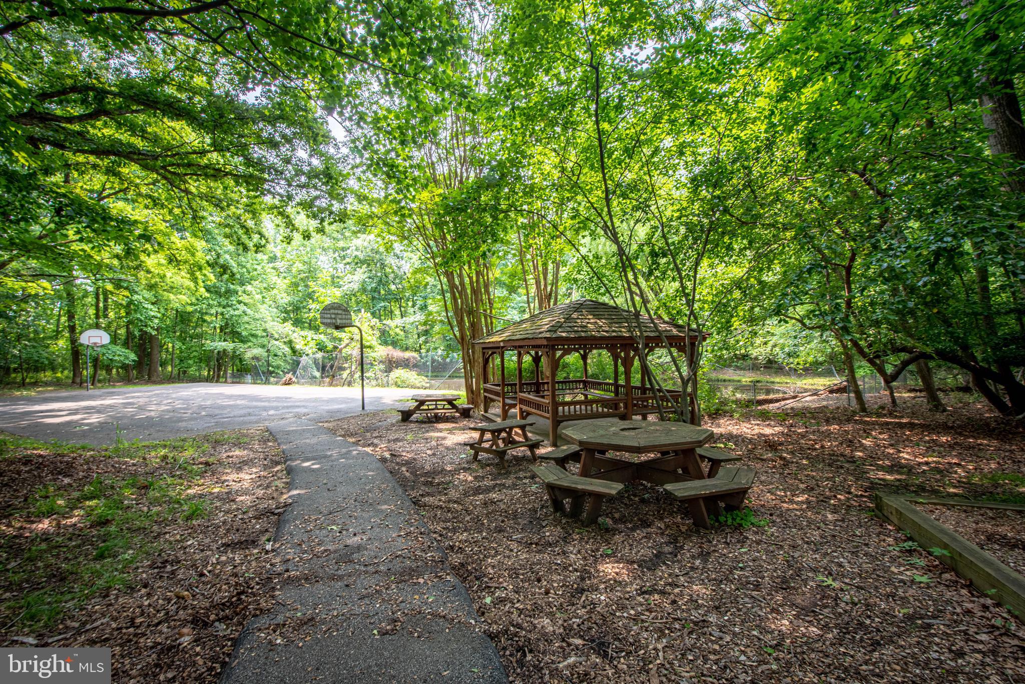 1337 BLACKWALNUT COURT