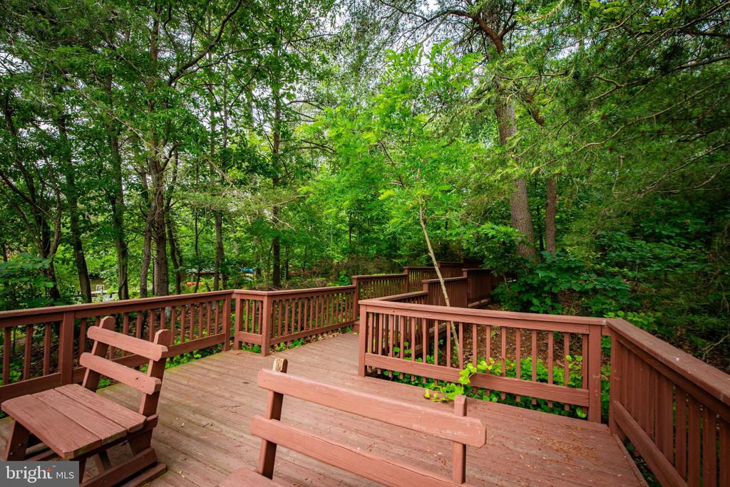 1337 BLACKWALNUT COURT