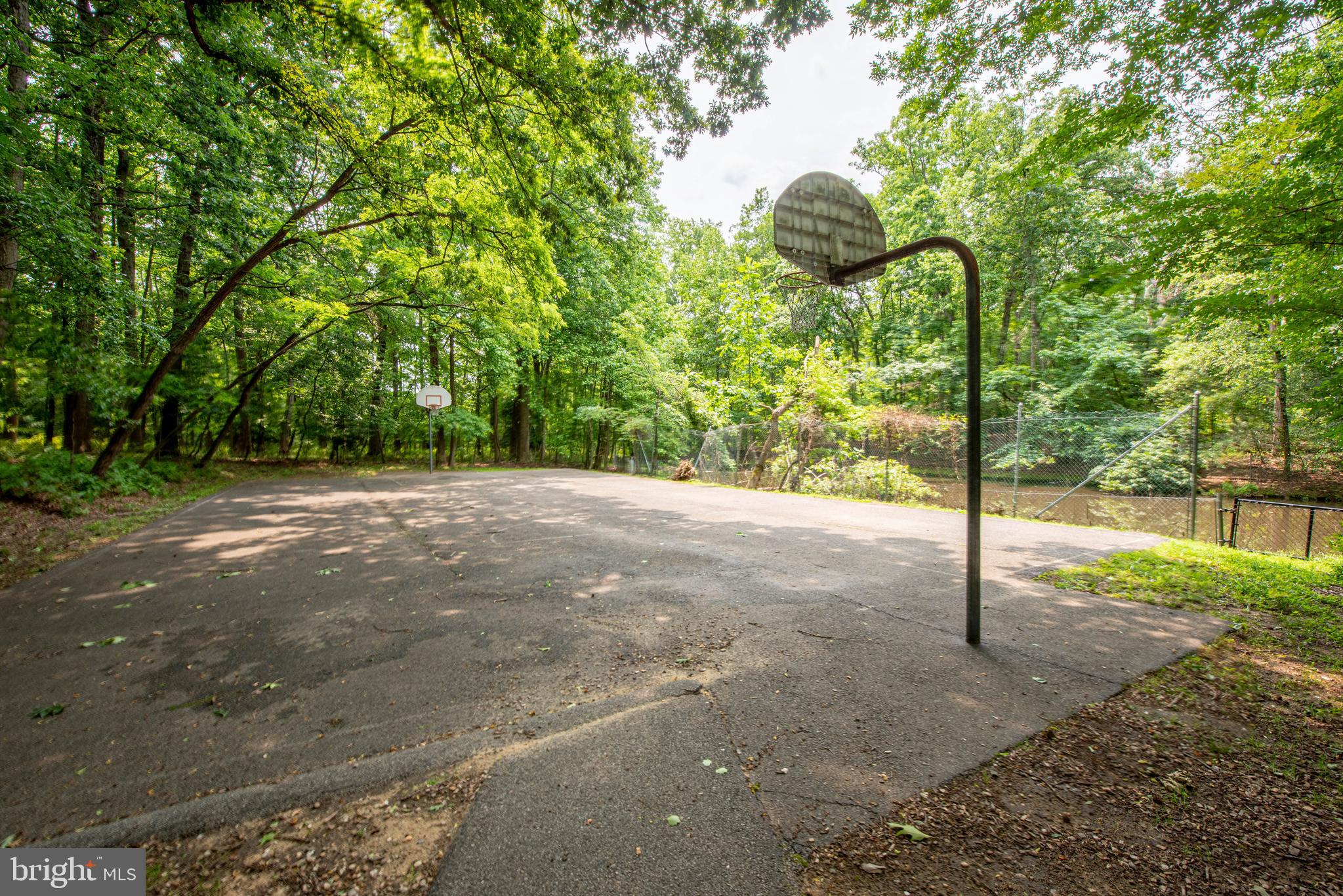1337 BLACKWALNUT COURT