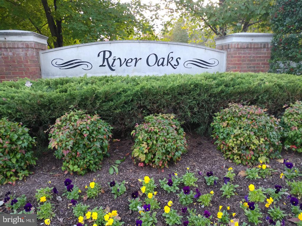 204 BRAXTON WAY 204