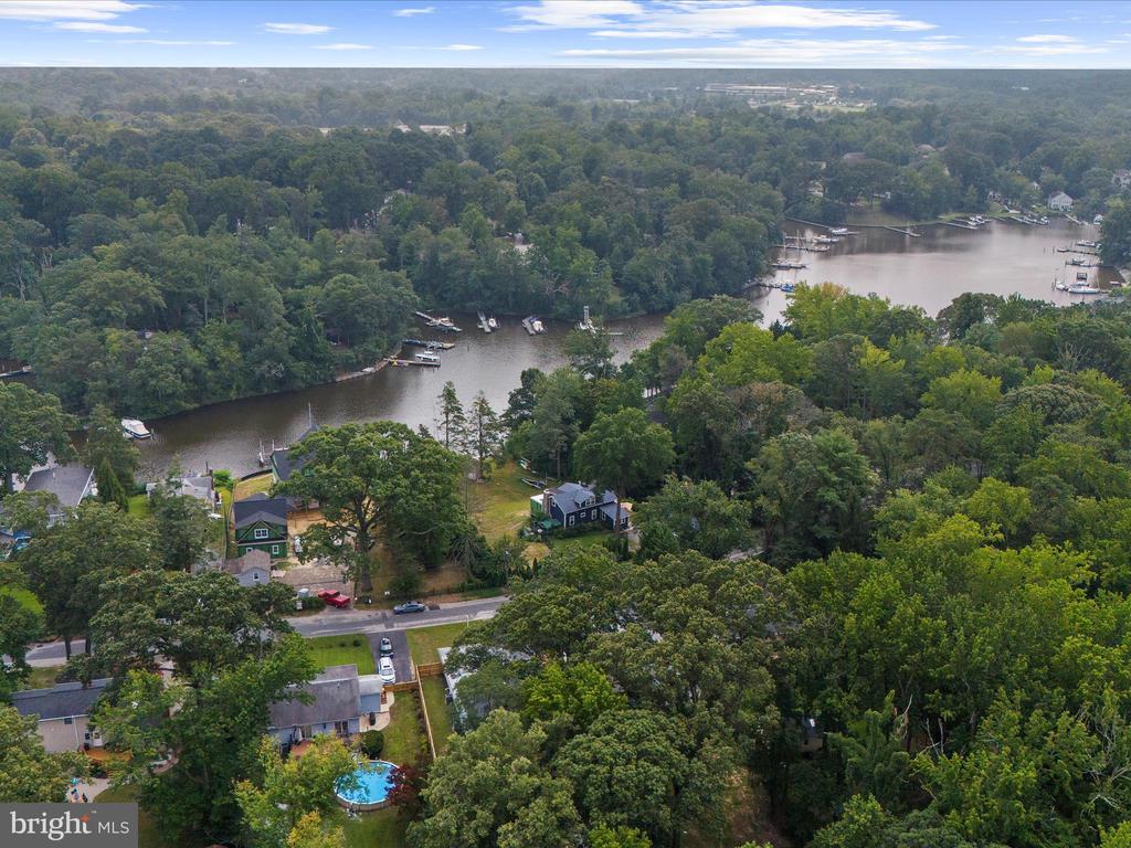 770 Dividing Rd