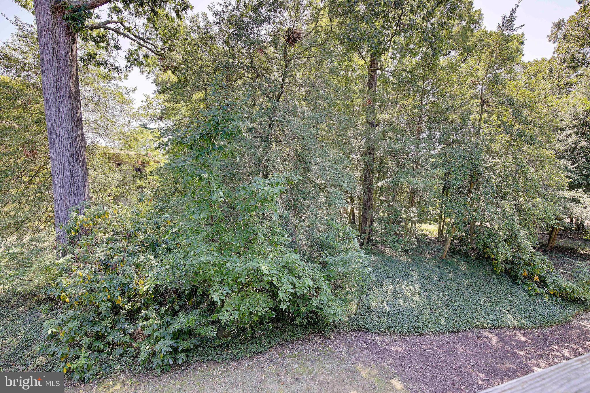 794 FAIRVIEW AVENUE C 794 C