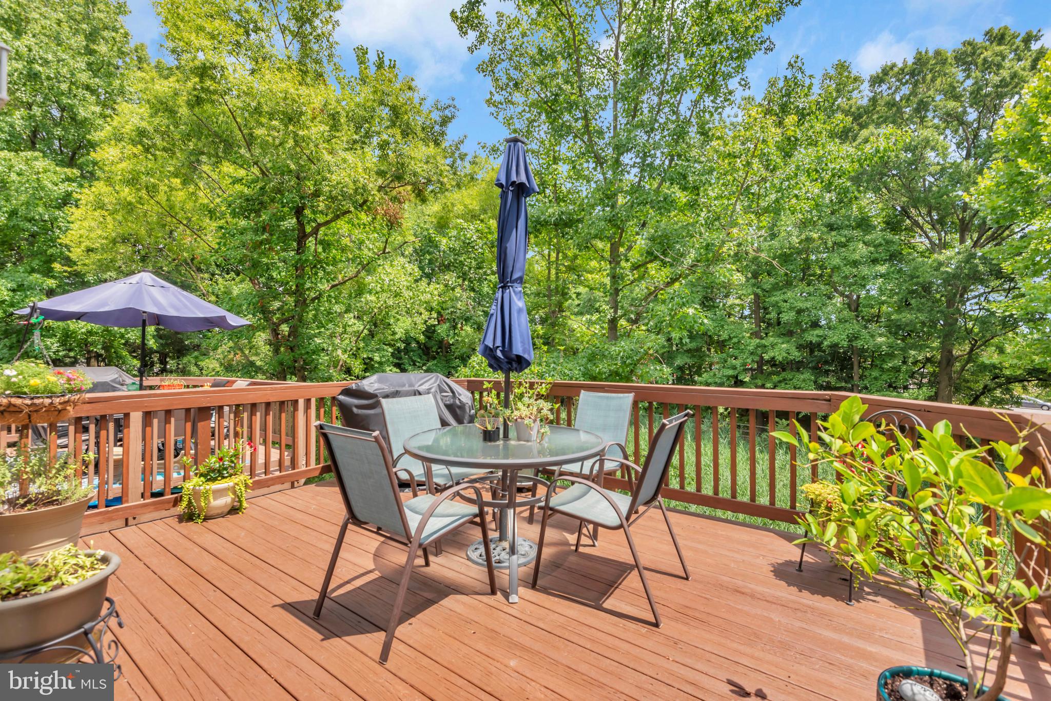 161 QUIET WATERS PLACE