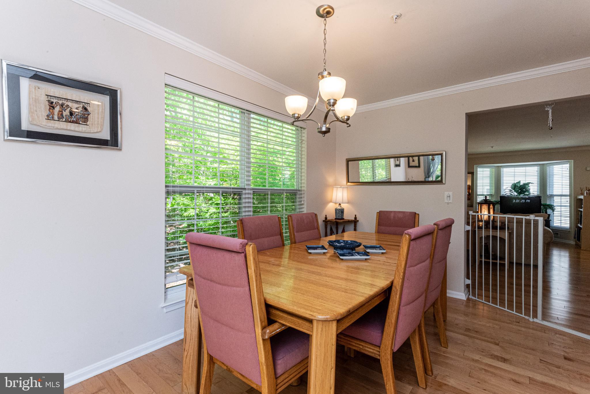 146 QUIET WATERS PLACE