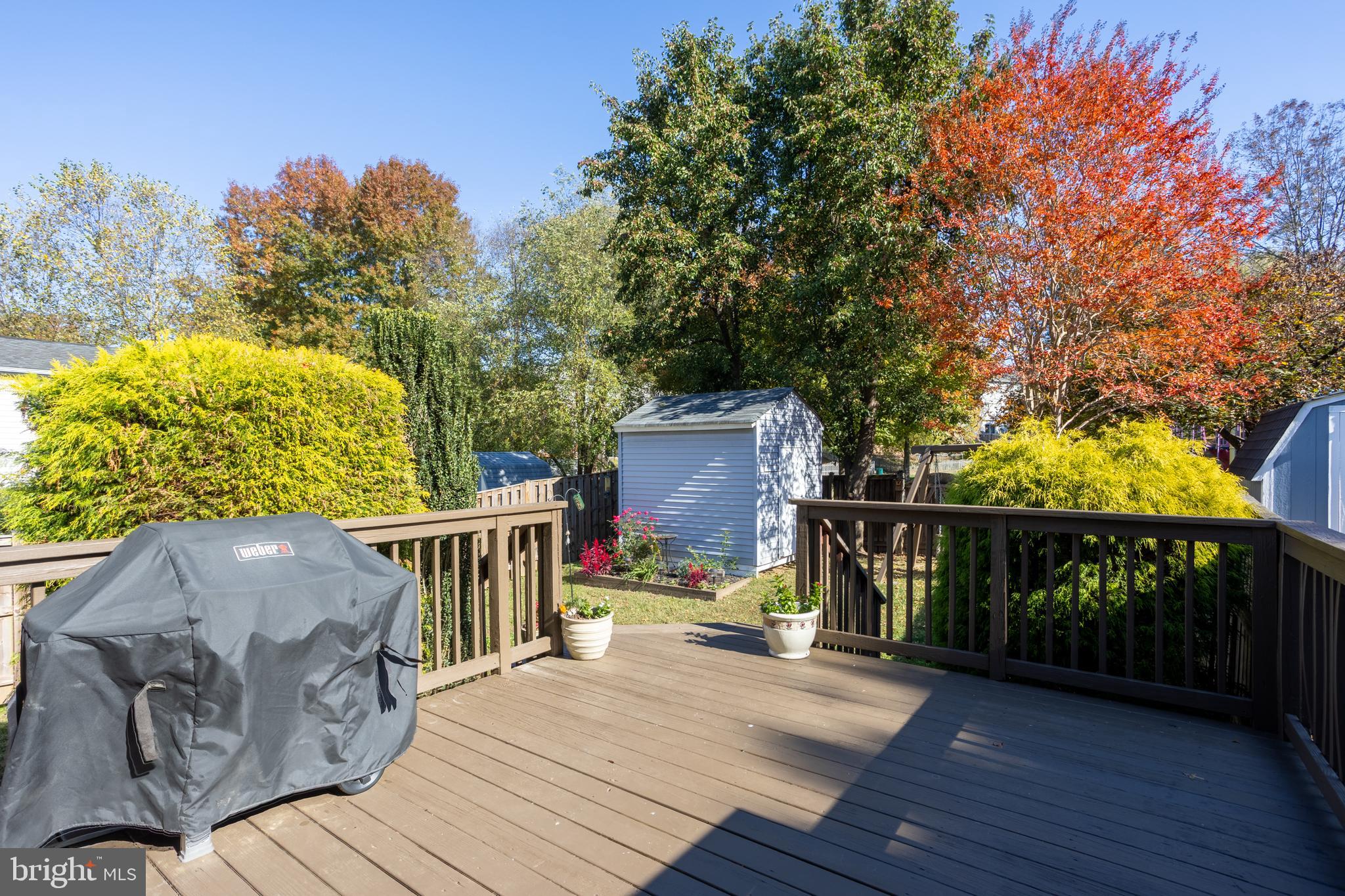 1583 STAR PINE DRIVE