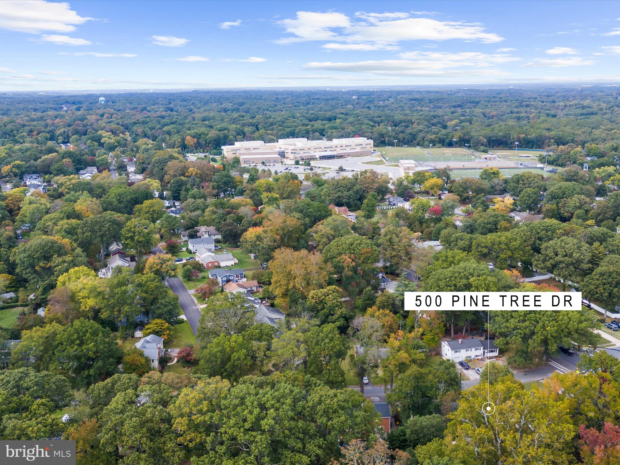 500 PINE TREE DRIVE