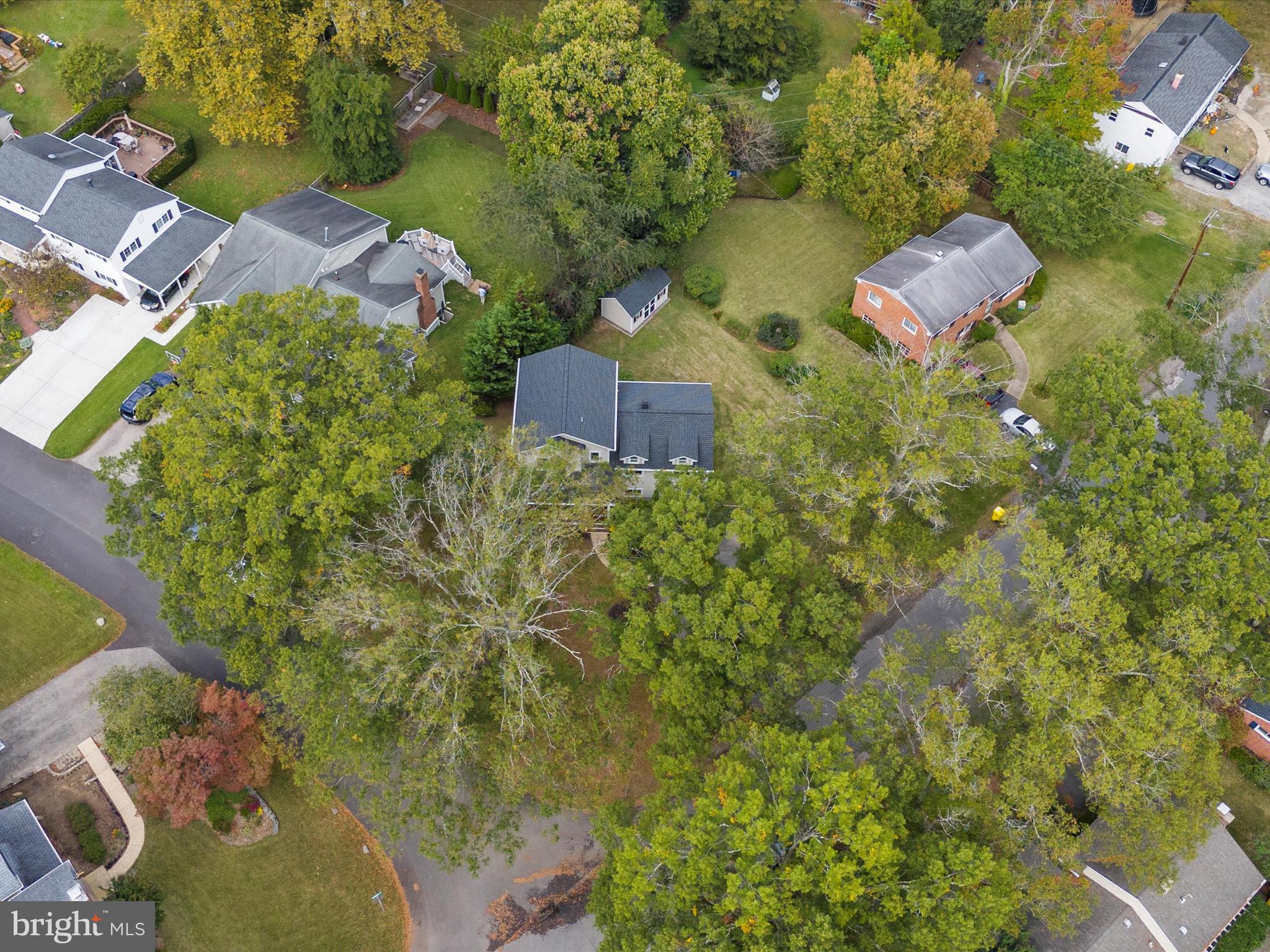 500 PINE TREE DRIVE