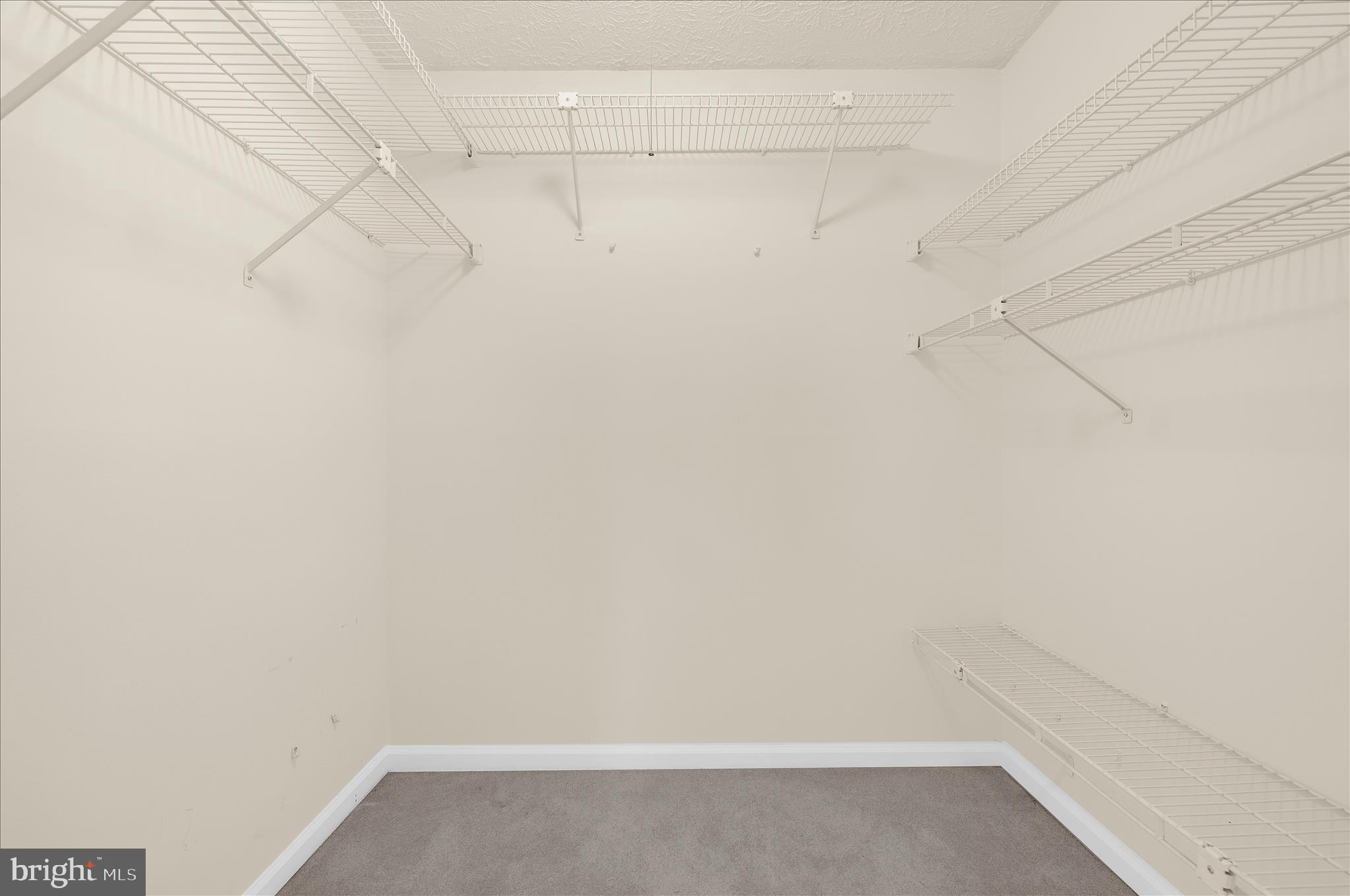 8214 SHADY NOOK COURT