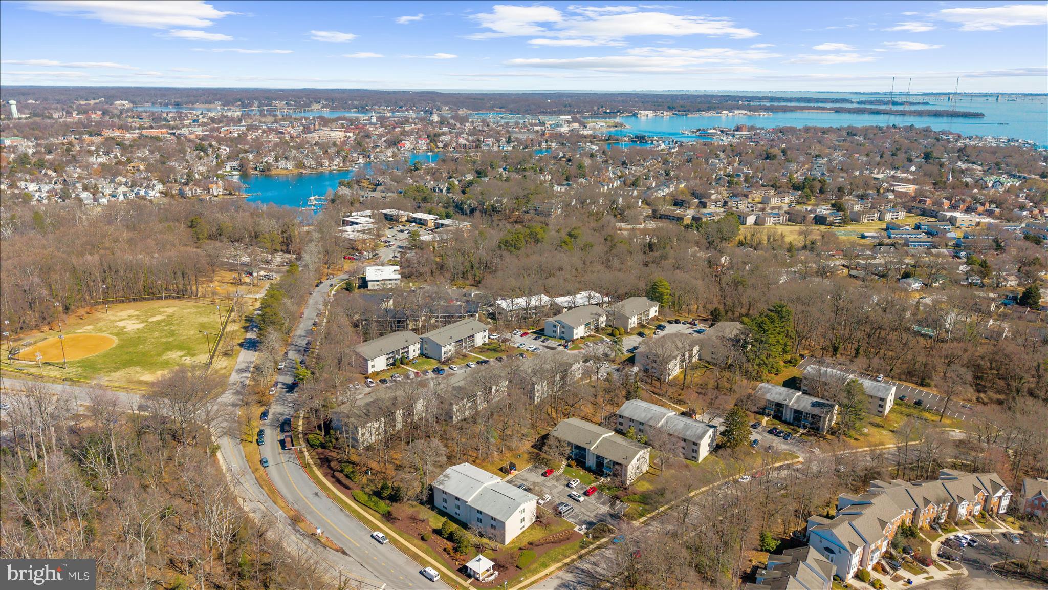 1113 PRIMROSE COURT 204