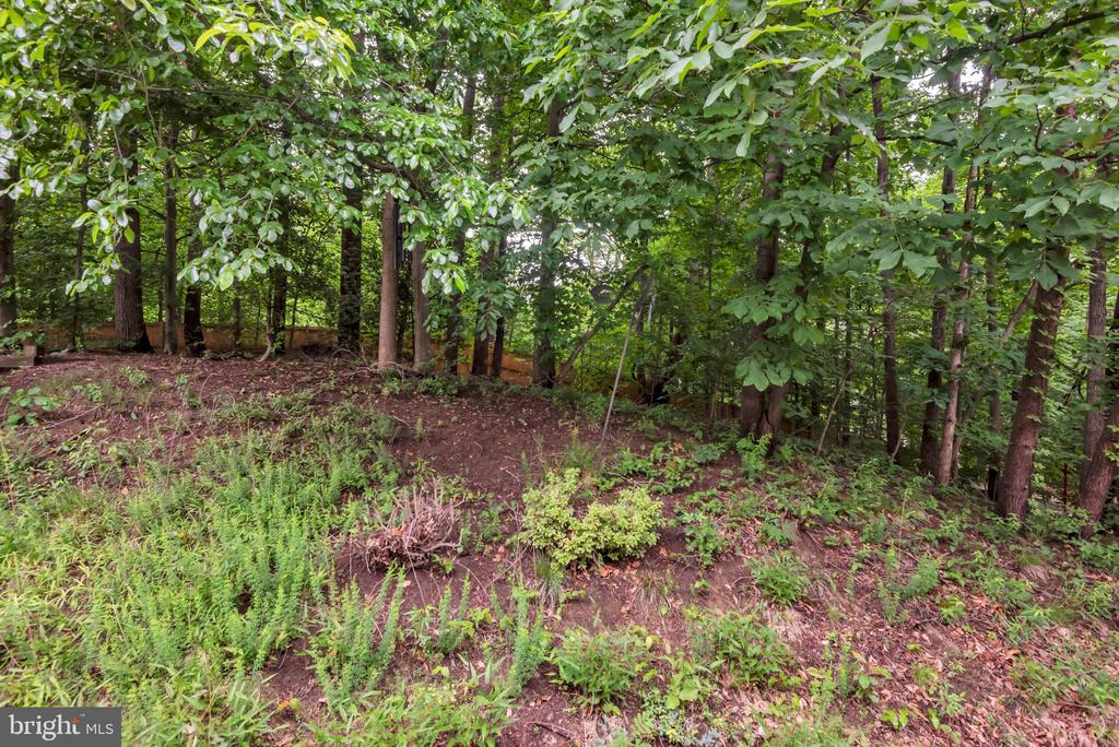 103 QUIET WATERS PLACE