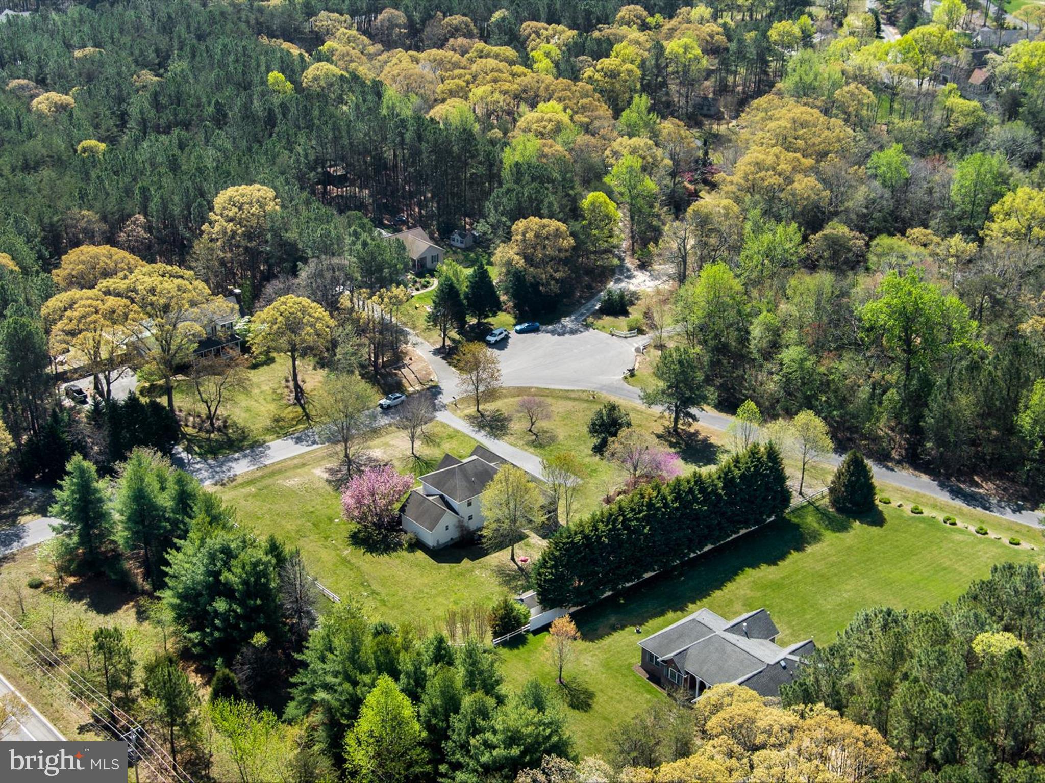 4225 Tupelo Ct
