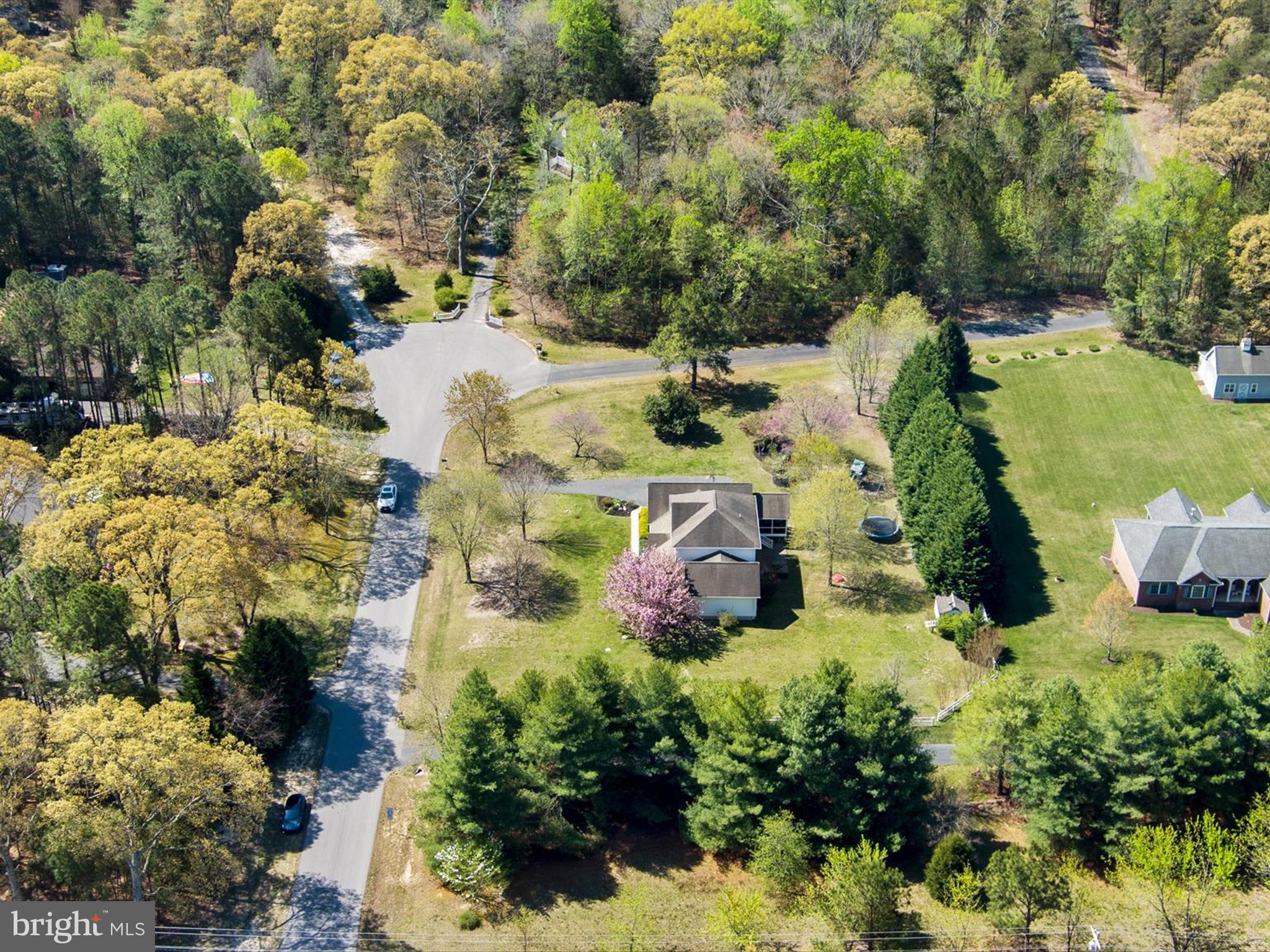 4225 Tupelo Ct