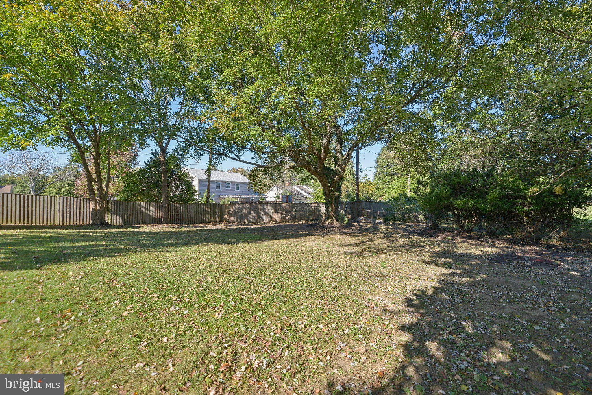 12606 Beechfern Ln