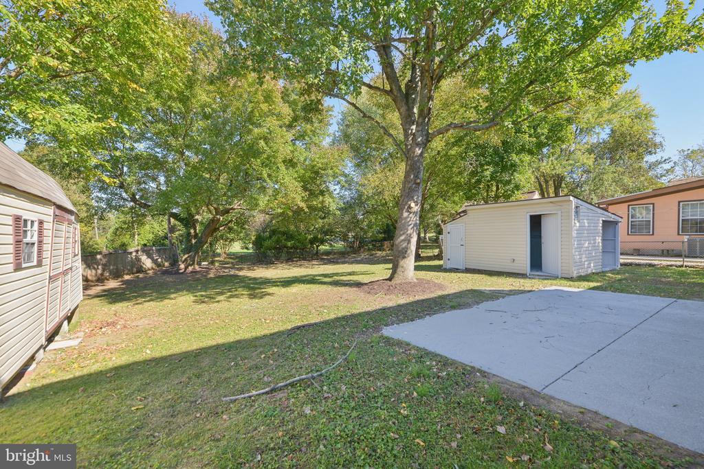 12606 Beechfern Ln