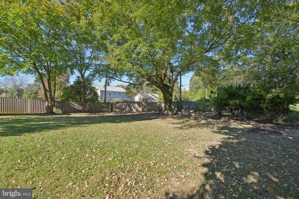 12606 Beechfern Ln