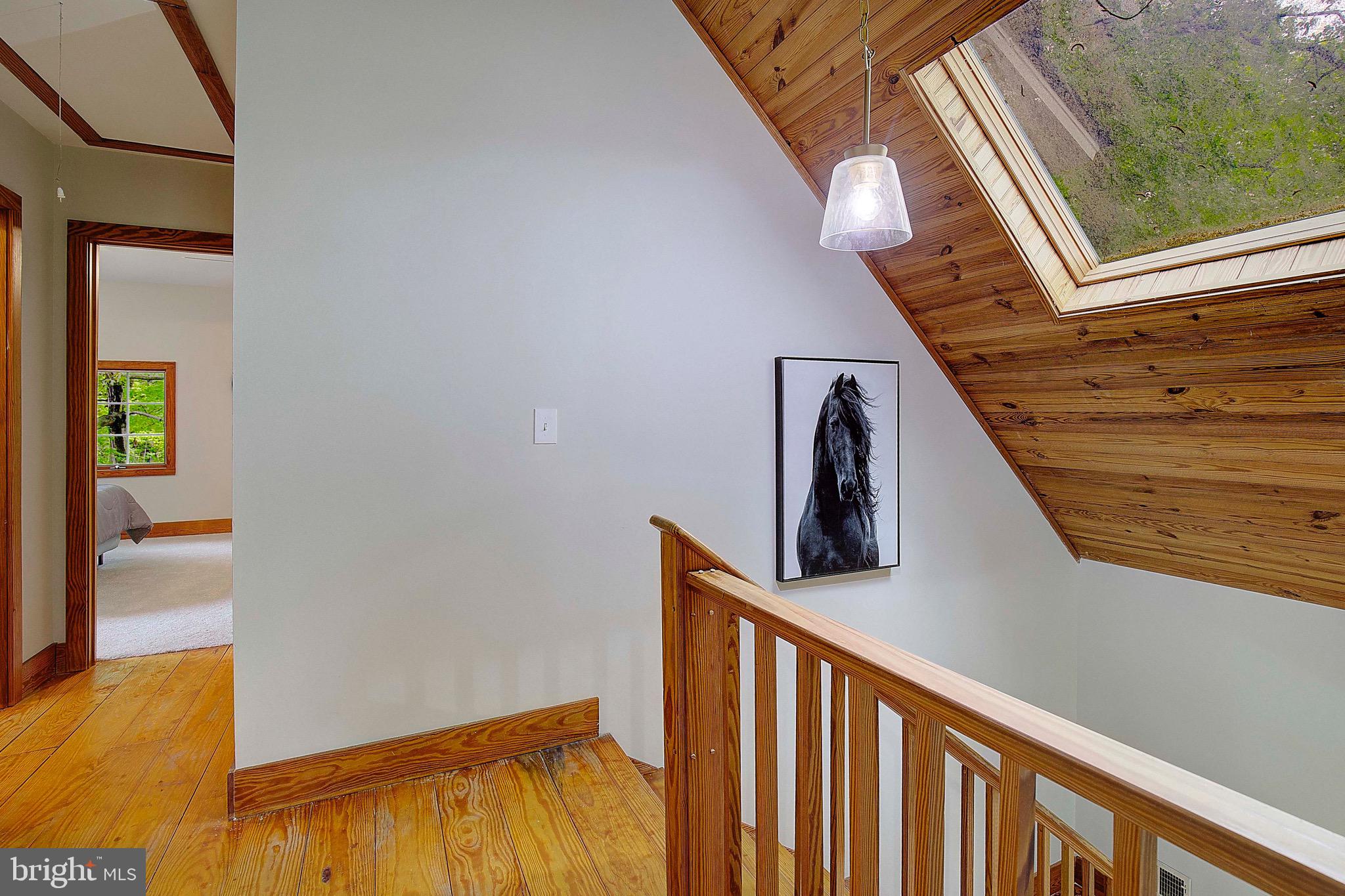 519 Chester River Beach Rd