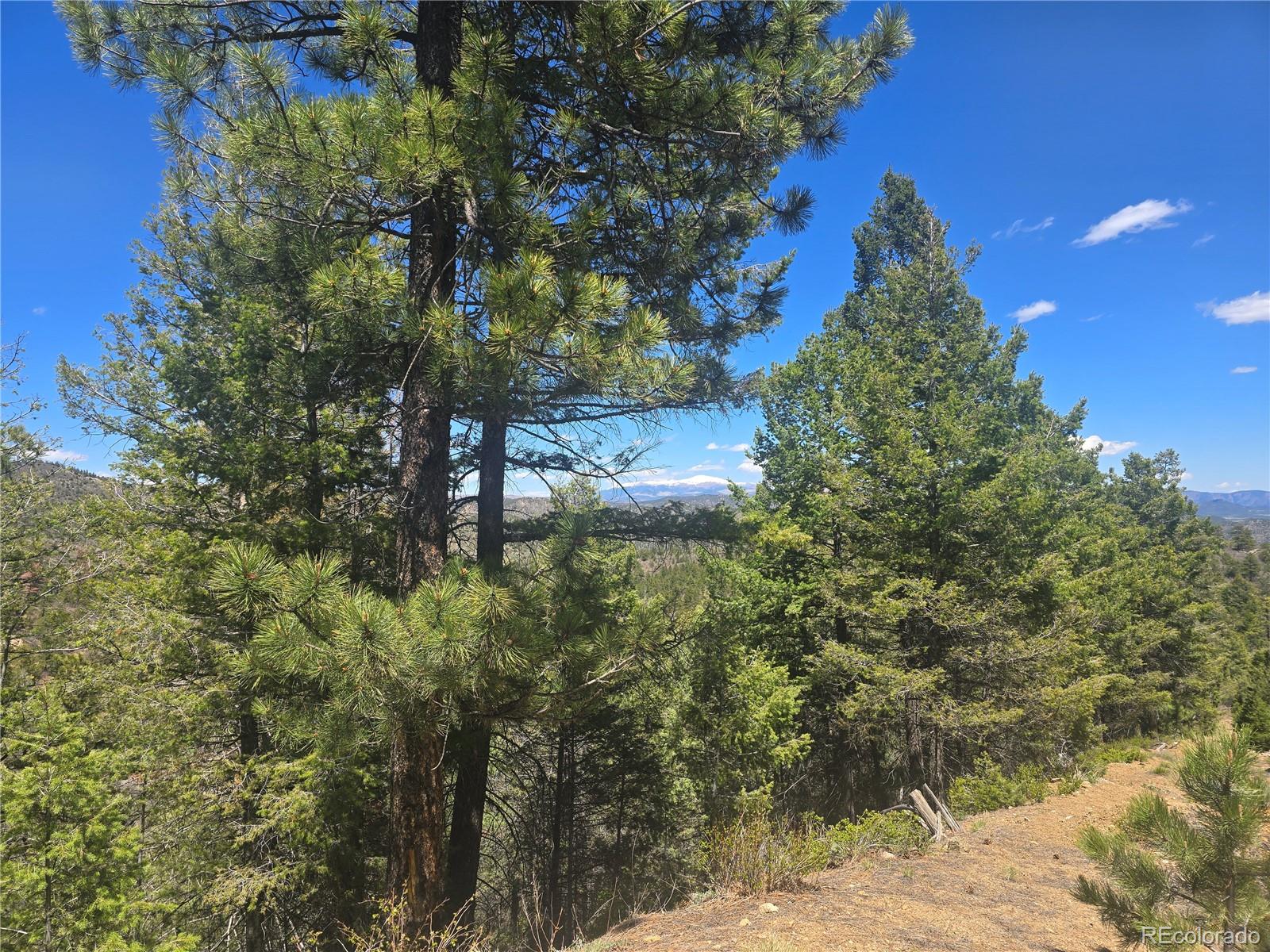 Peak View Ridge