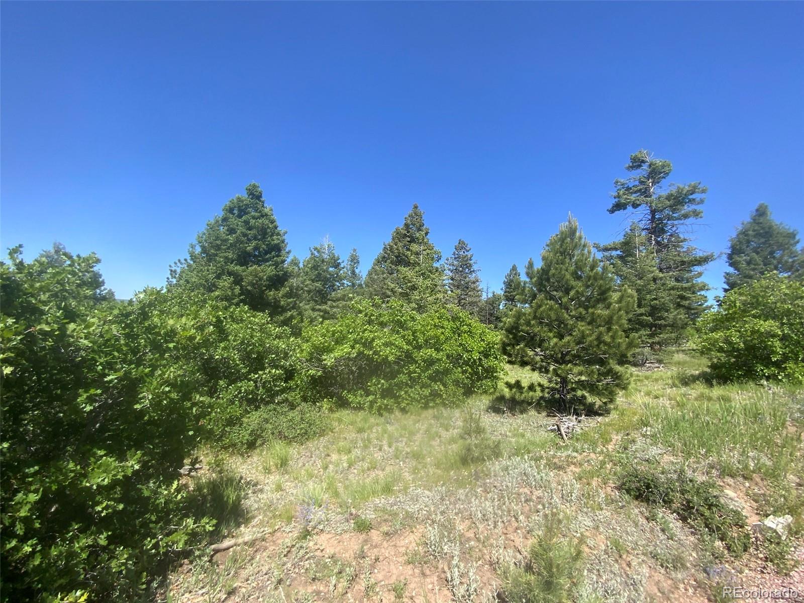 Peak View Ridge