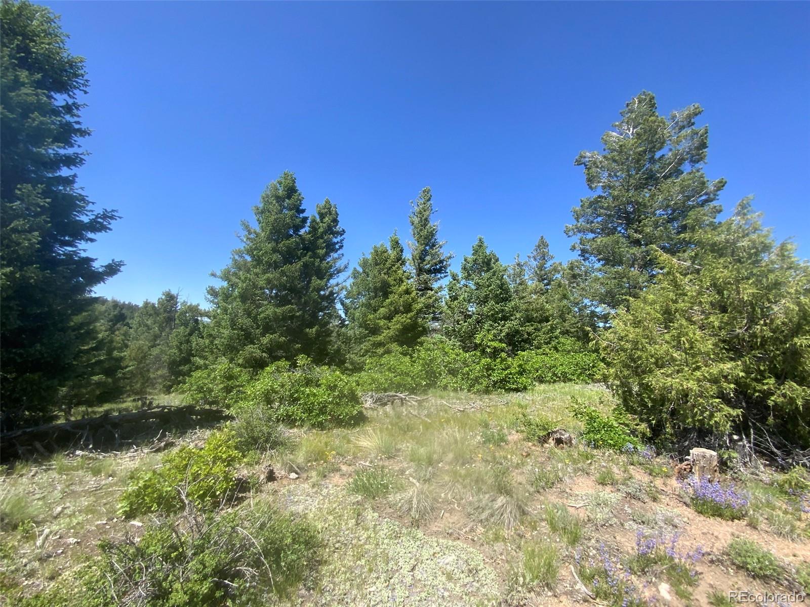 Peak View Ridge