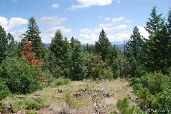 Peak View Ridge