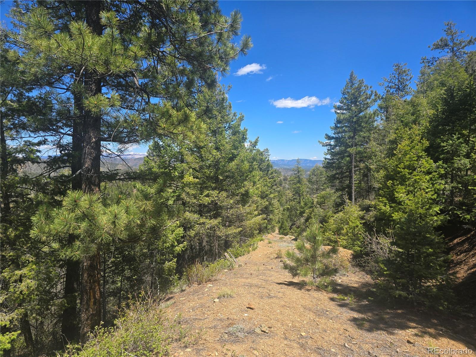 Peak View Ridge