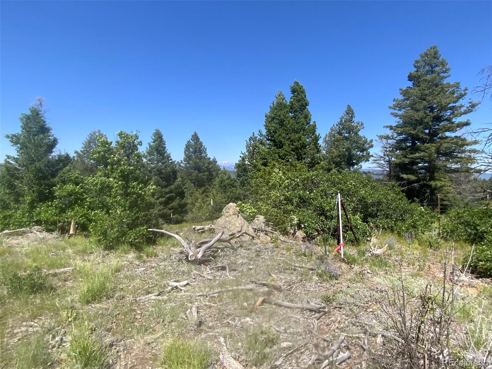 Peak View Ridge