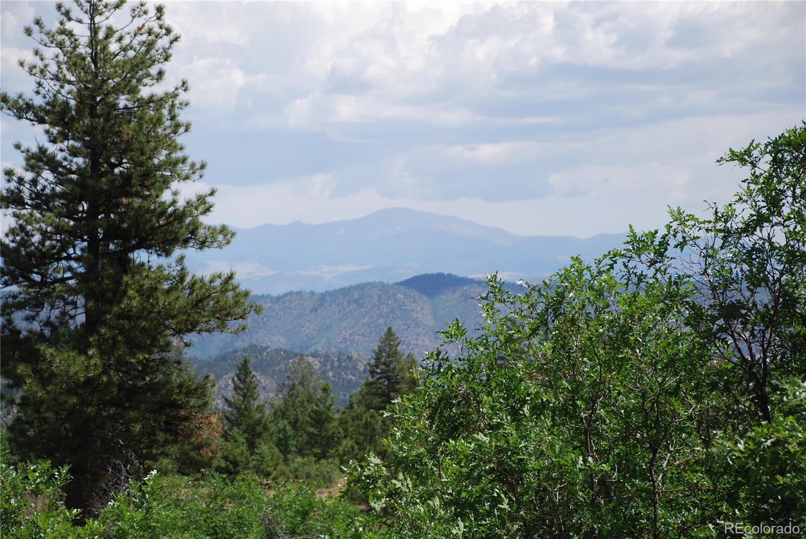 Peak View Ridge