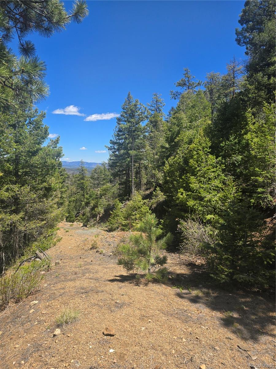 Peak View Ridge