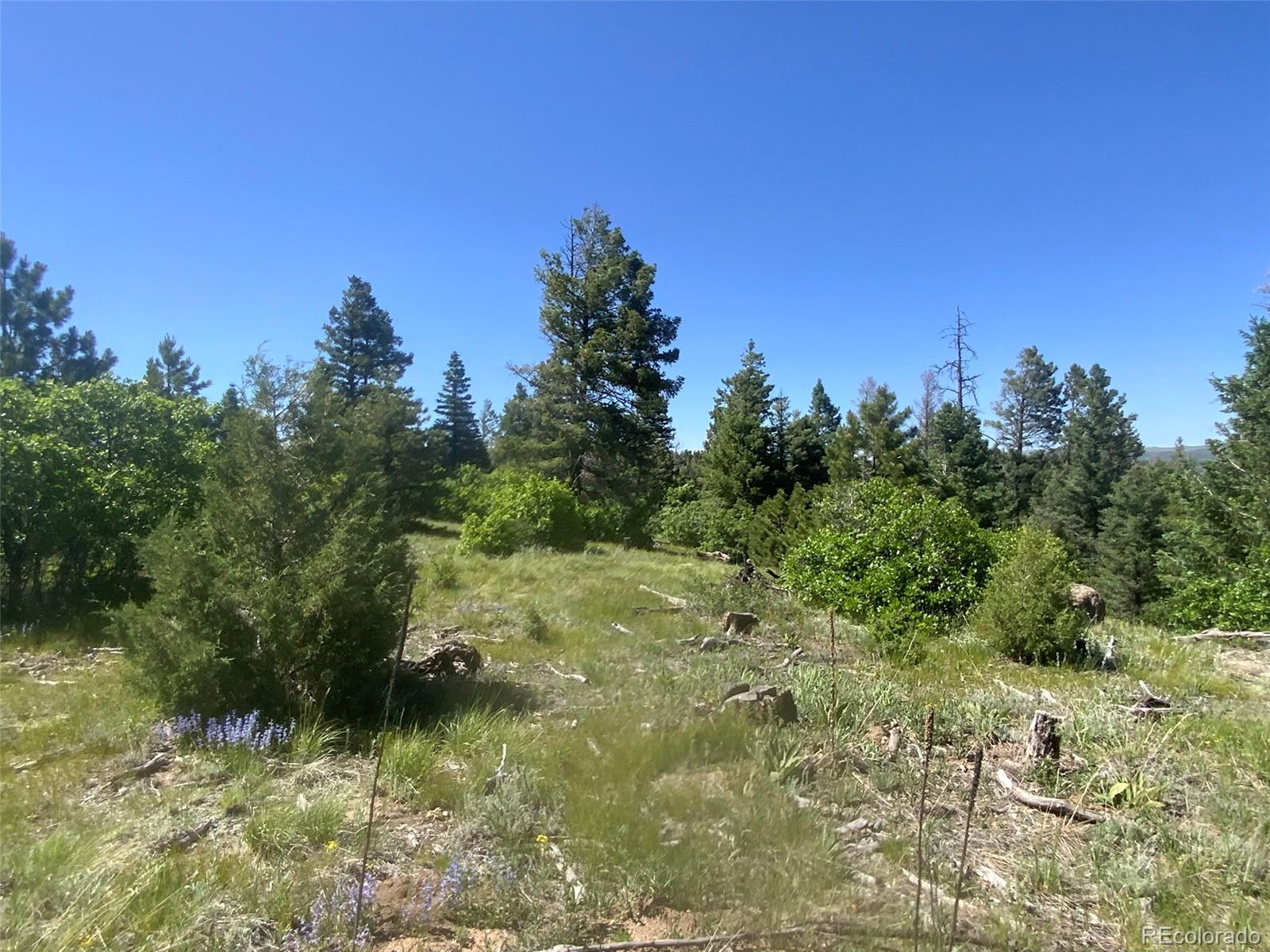 Peak View Ridge