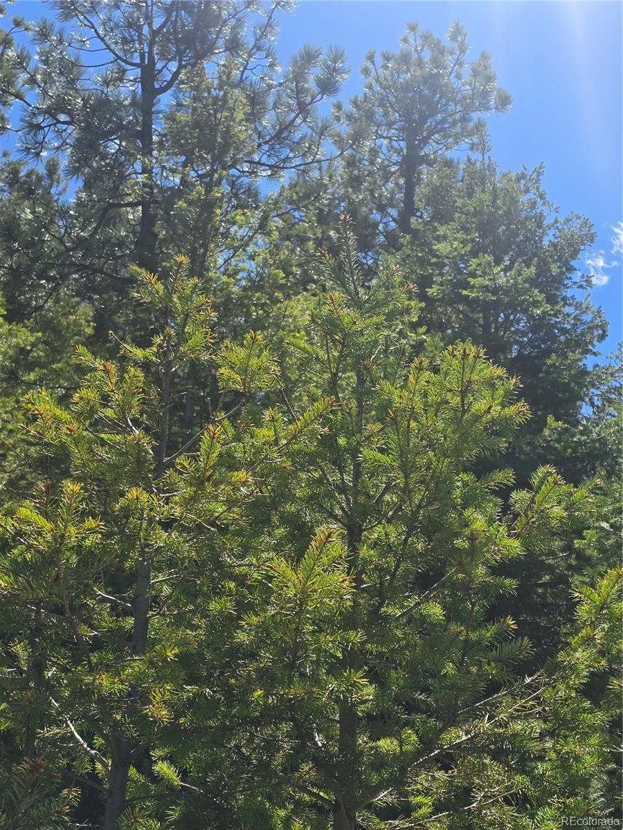 Peak View Ridge