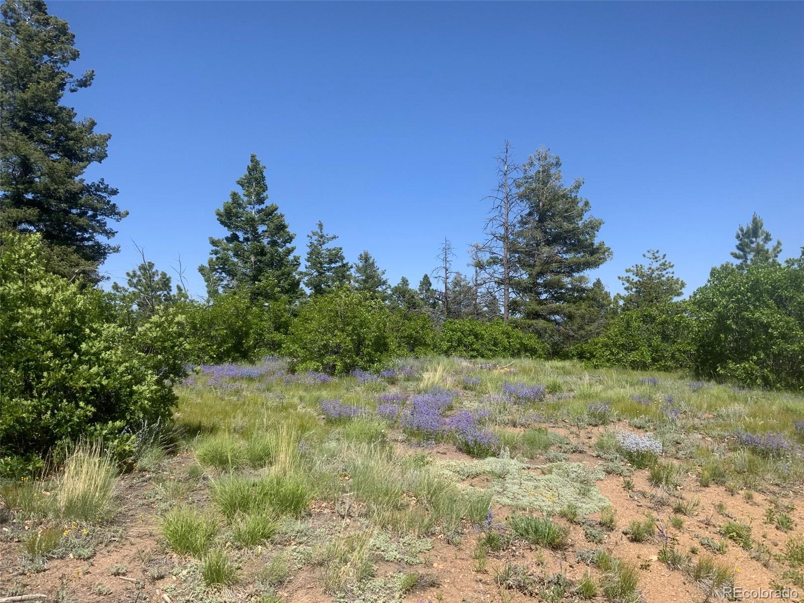 Peak View Ridge