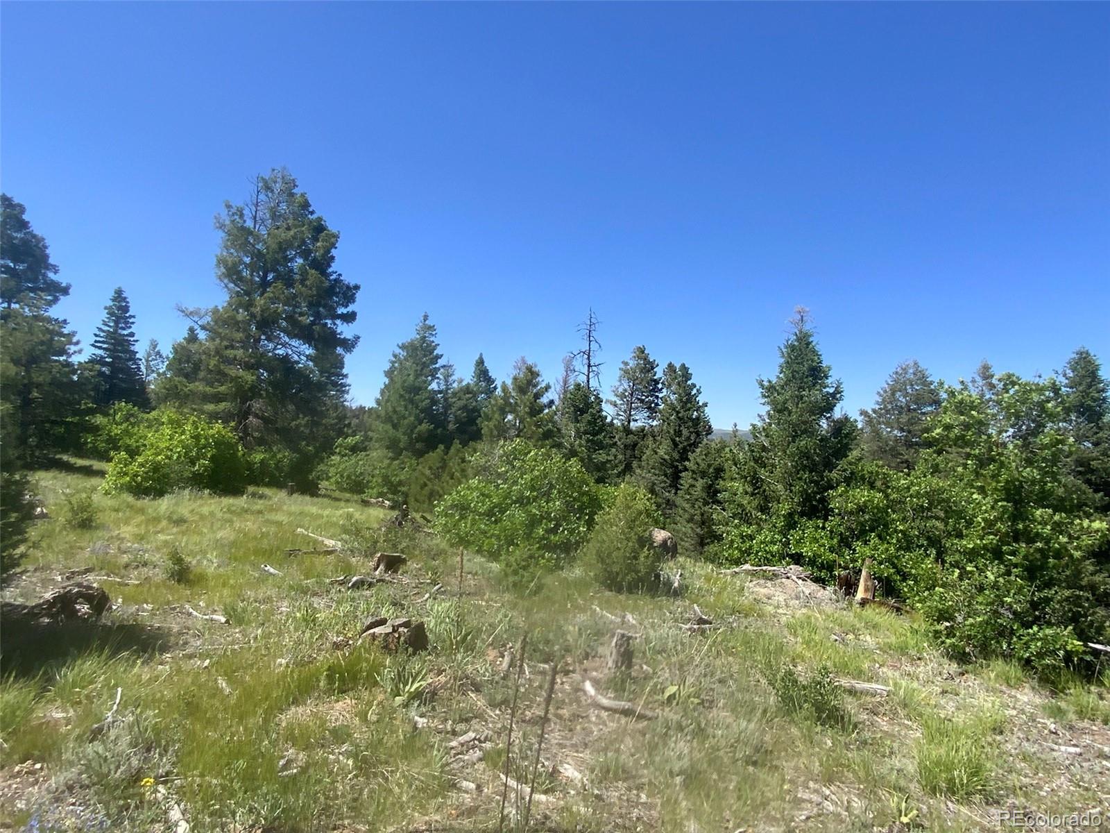 Peak View Ridge