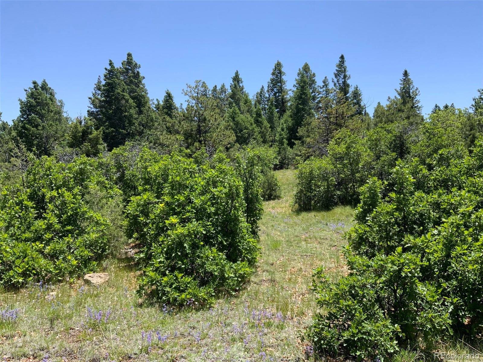 000 Peak View Ridge