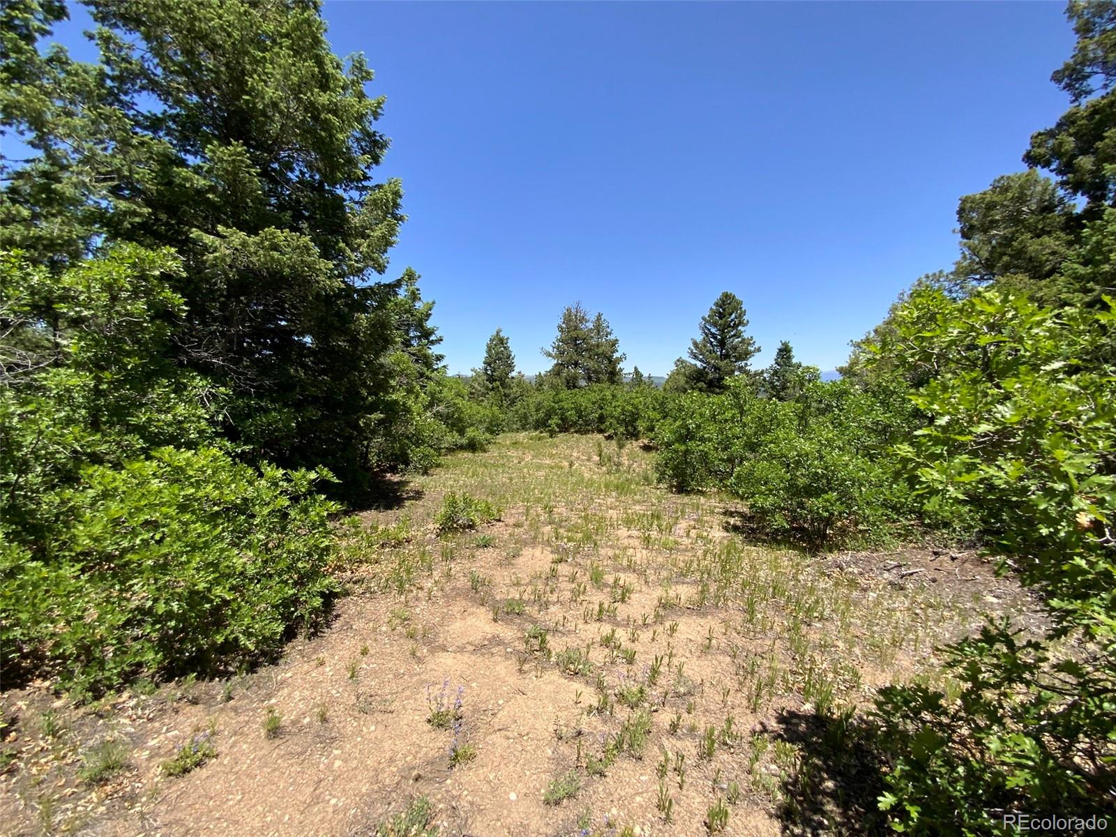 000 Peak View Ridge