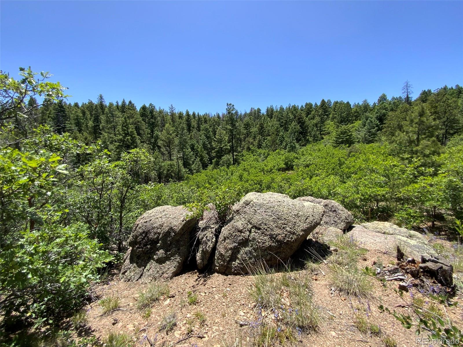 000 Peak View Ridge