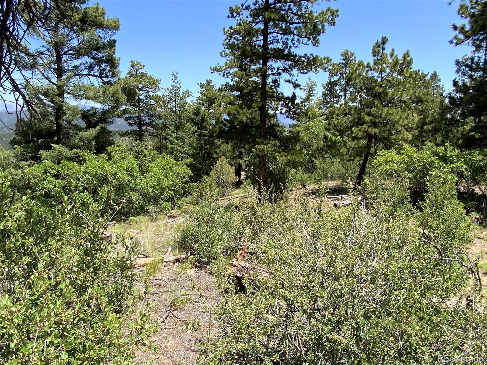 000 Peak View Ridge