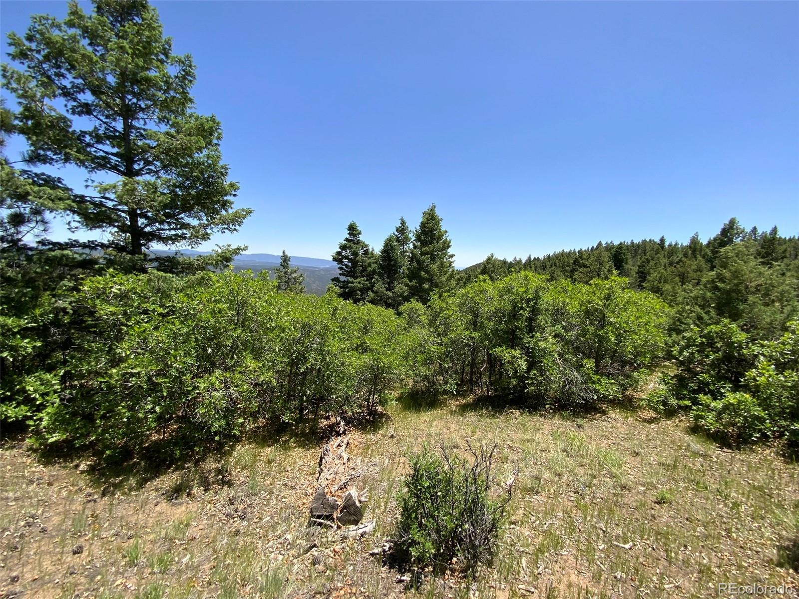 000 Peak View Ridge