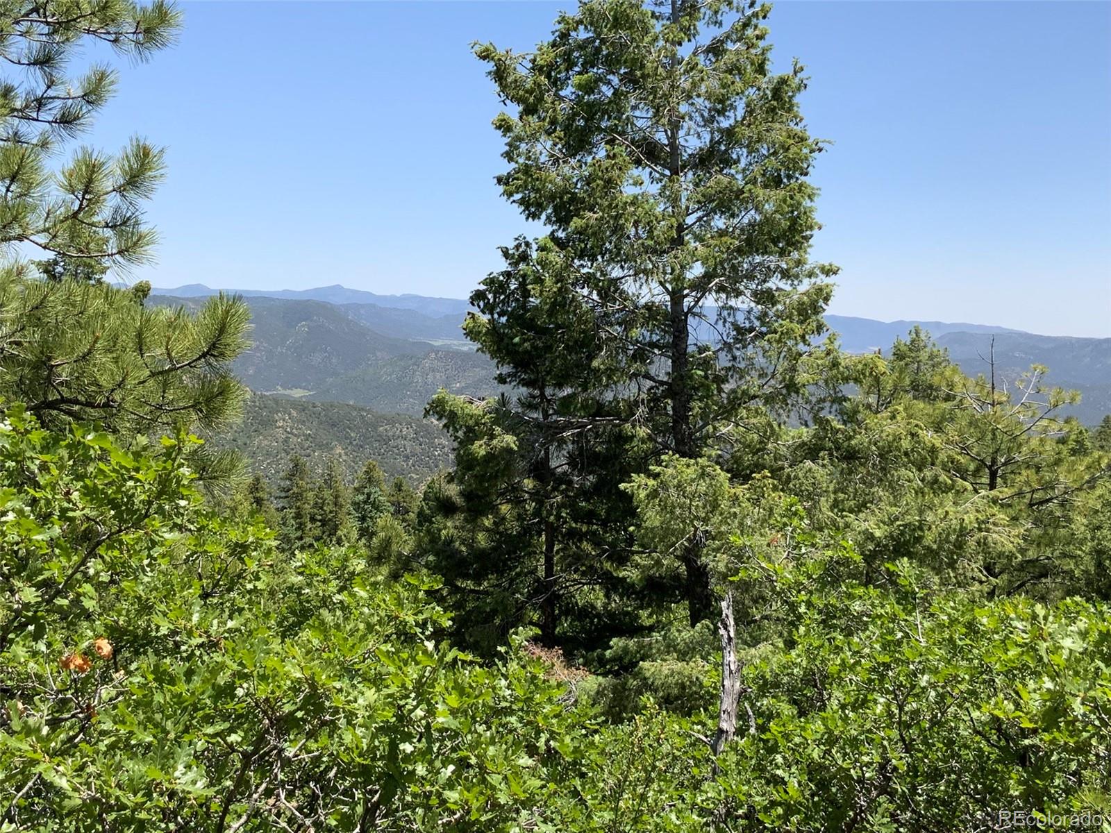 000 Peak View Ridge