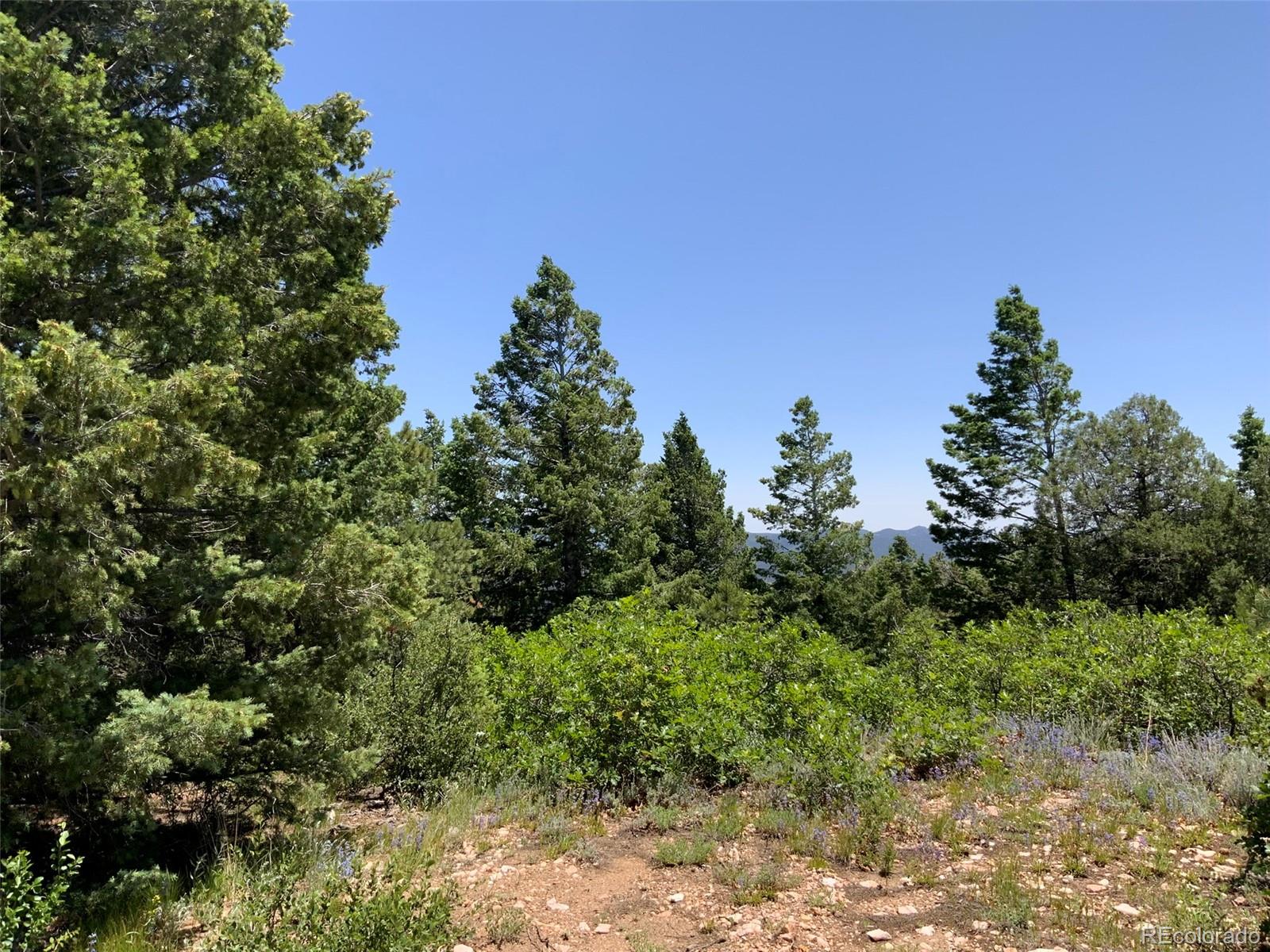 000 Peak View Ridge