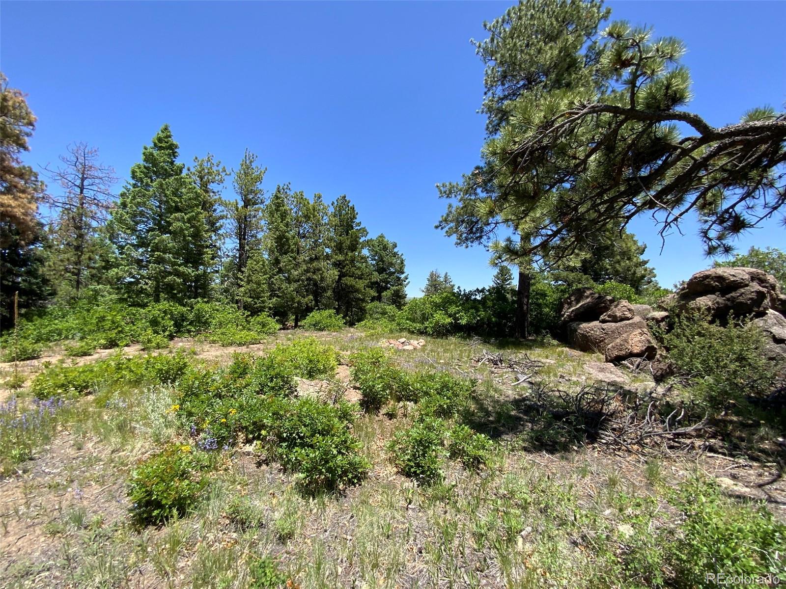 000 Peak View Ridge