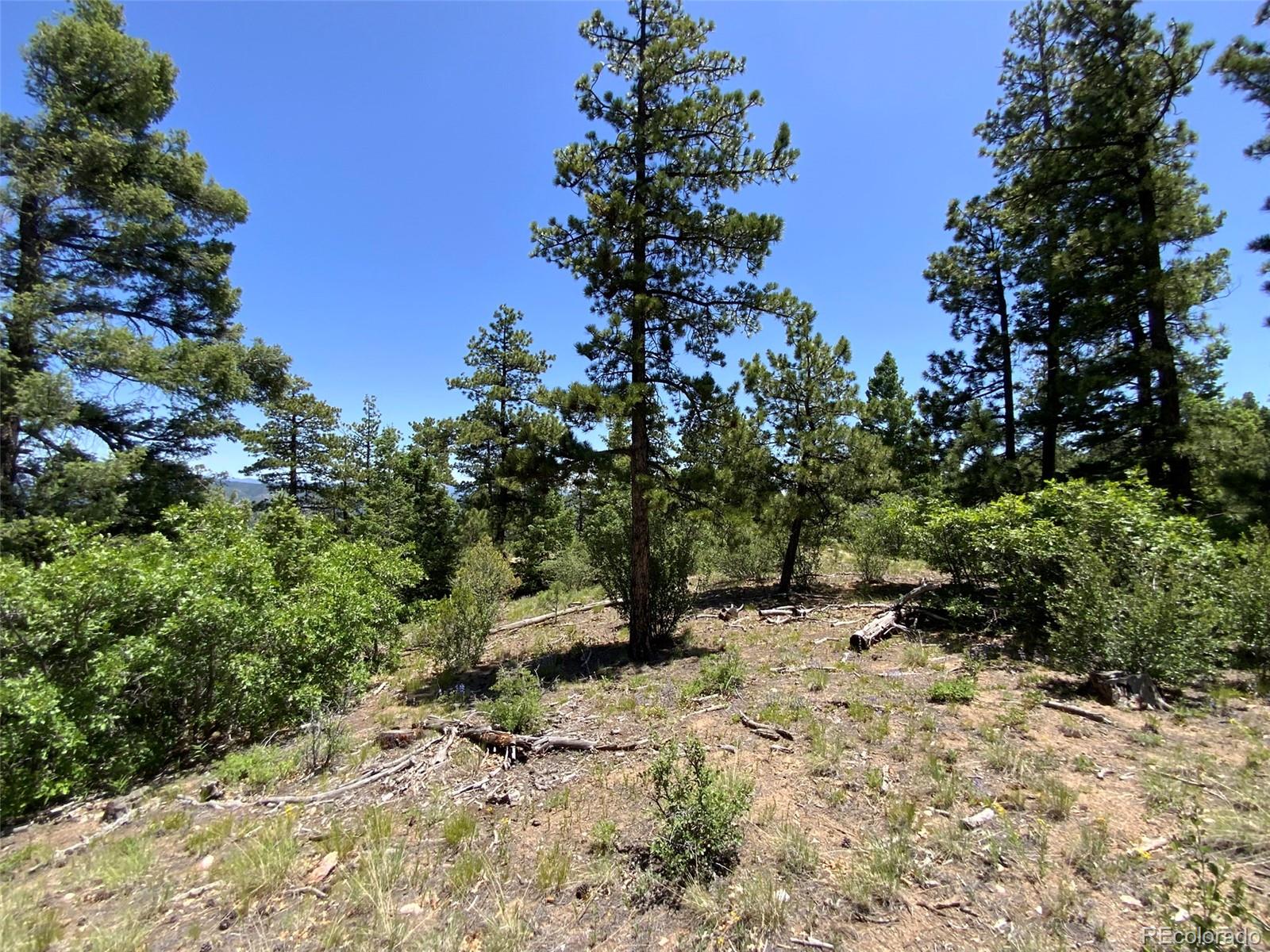 000 Peak View Ridge