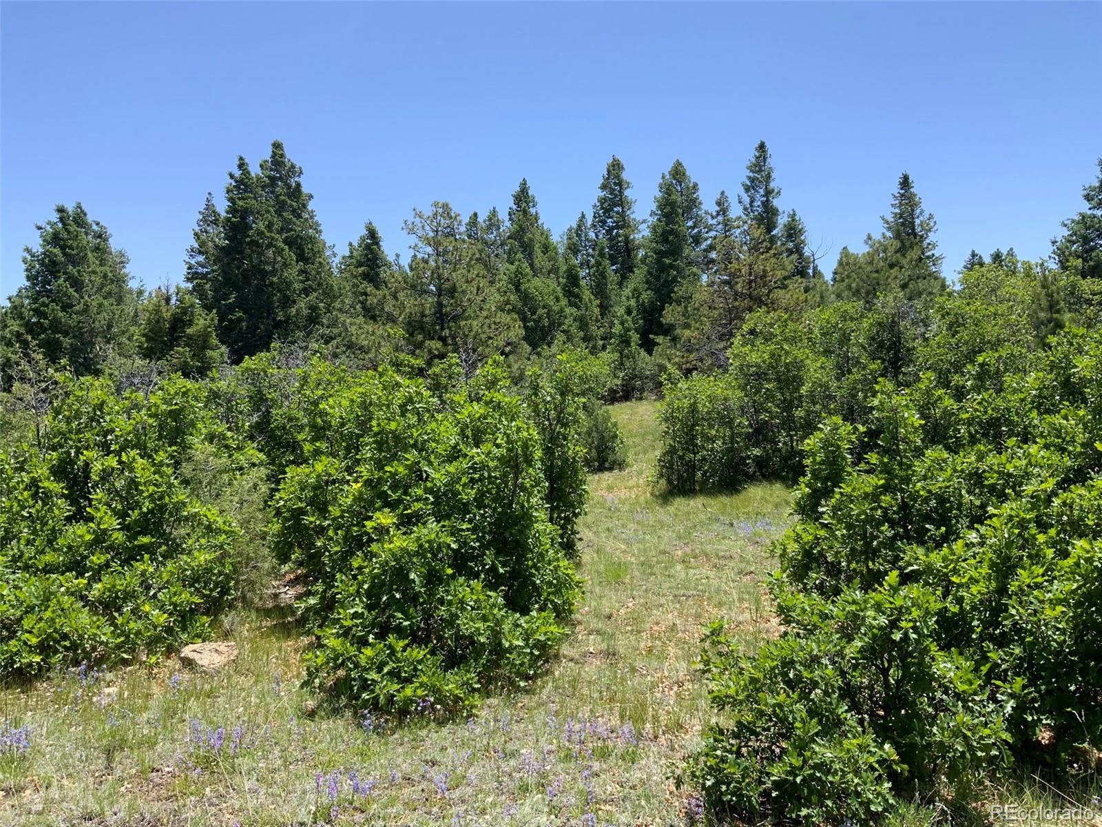 000 Peak View Ridge