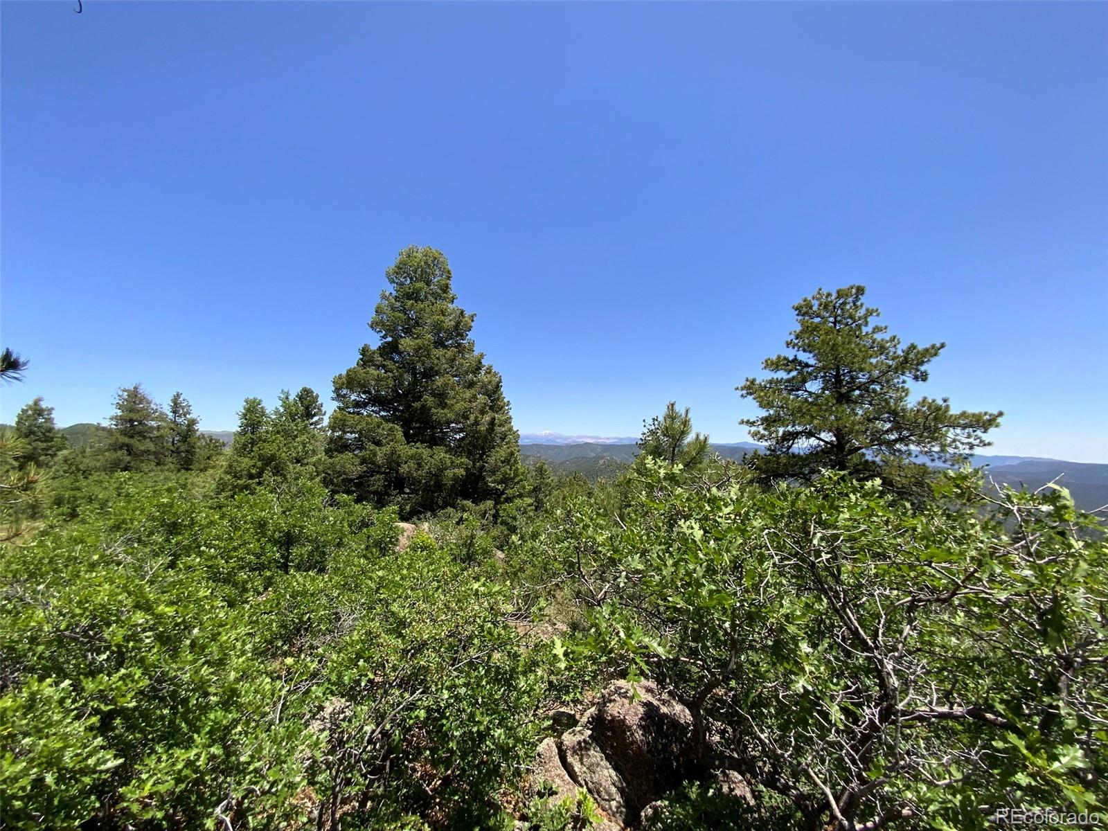 000 Peak View Ridge