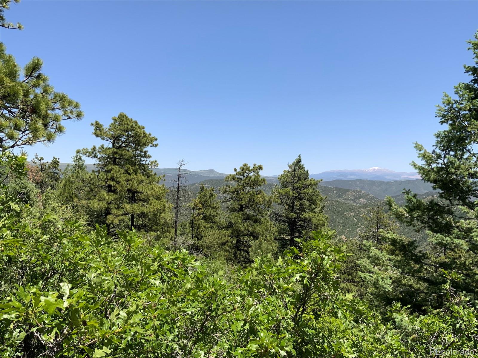 000 Peak View Ridge