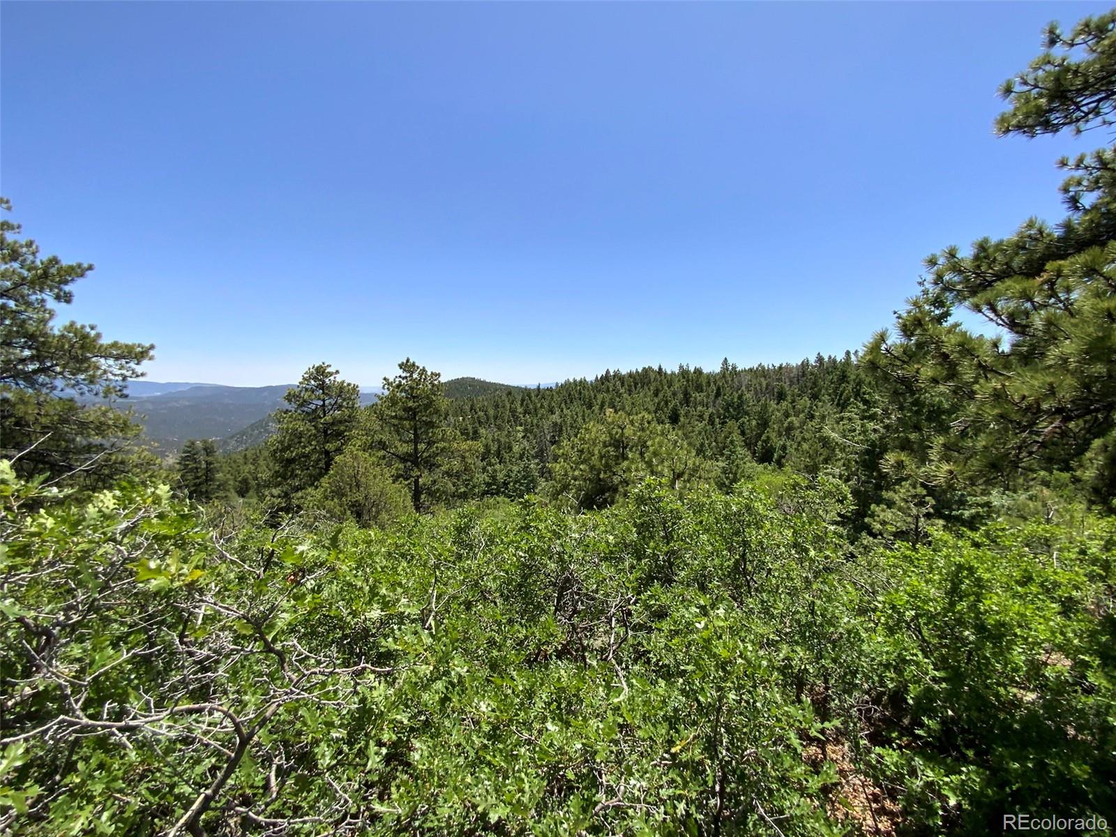 000 Peak View Ridge