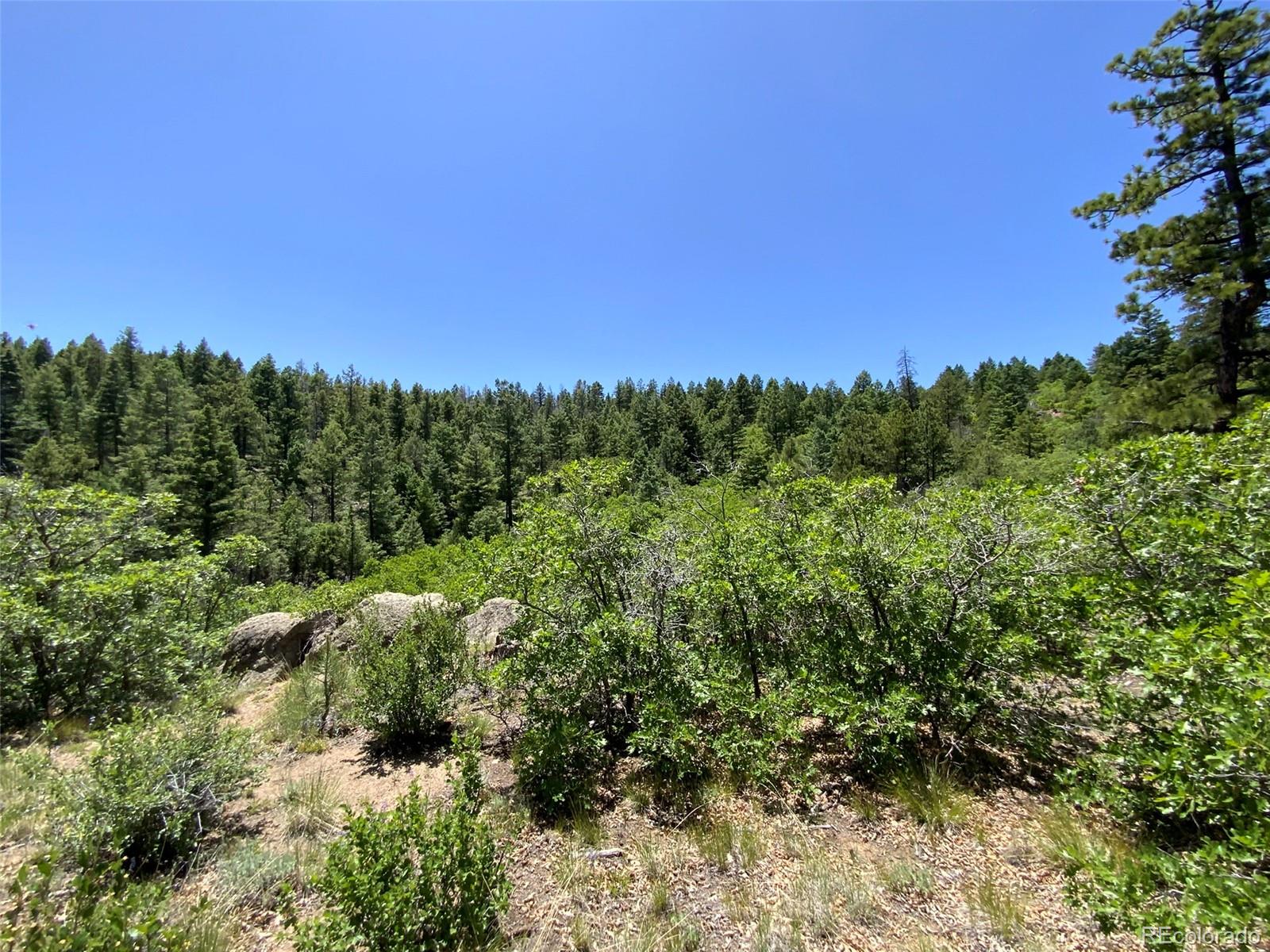 000 Peak View Ridge